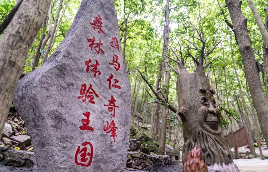 馬仁奇峰、大浦雙雙入選首批“安徽省職工療休養(yǎng)基地”！