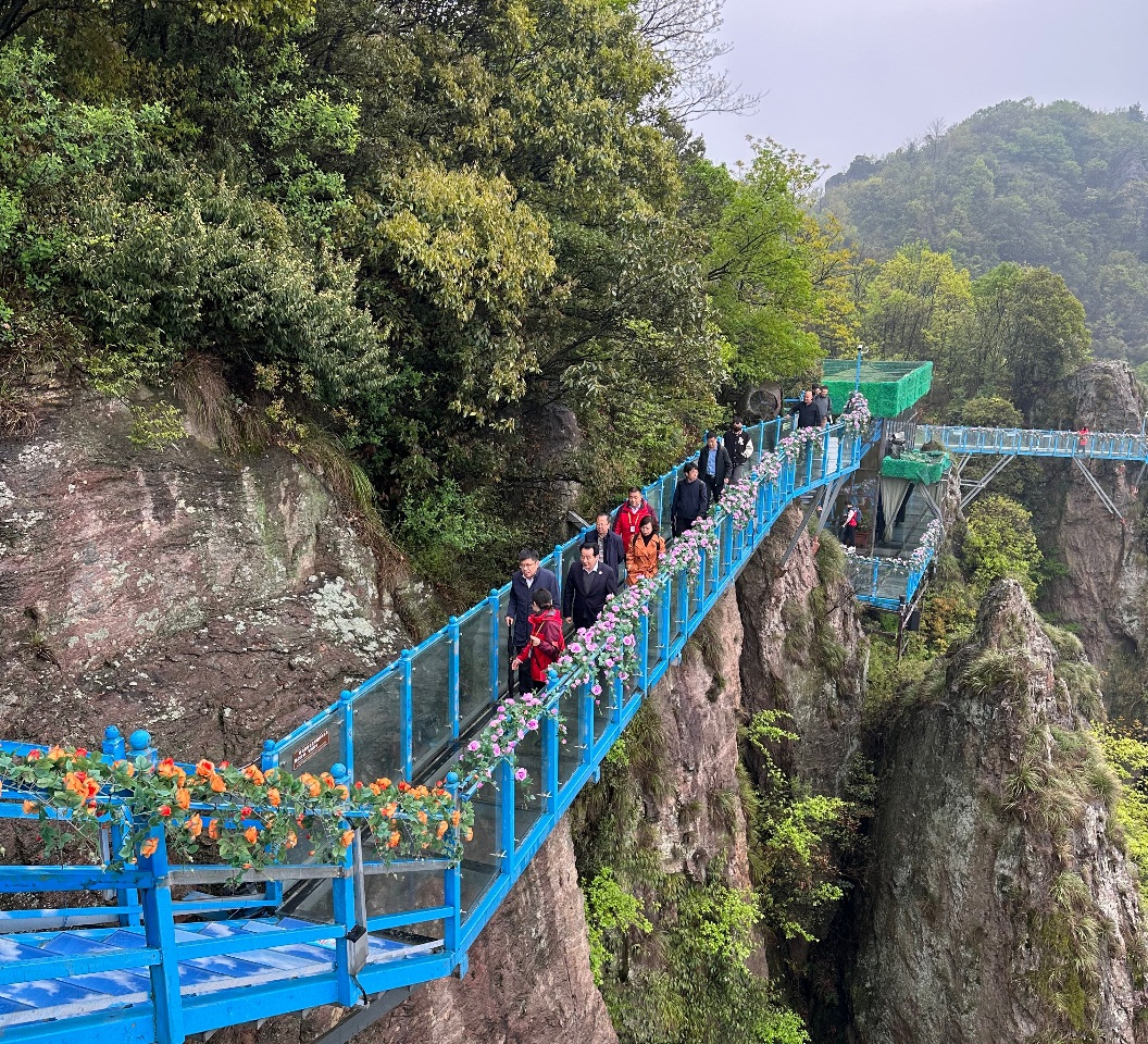 中國(guó)旅游研究院院長(zhǎng)戴斌一行調(diào)研馬仁奇峰景區(qū)